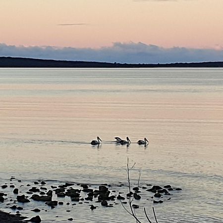 Port Lincoln Caravan Park North Shields ภายนอก รูปภาพ