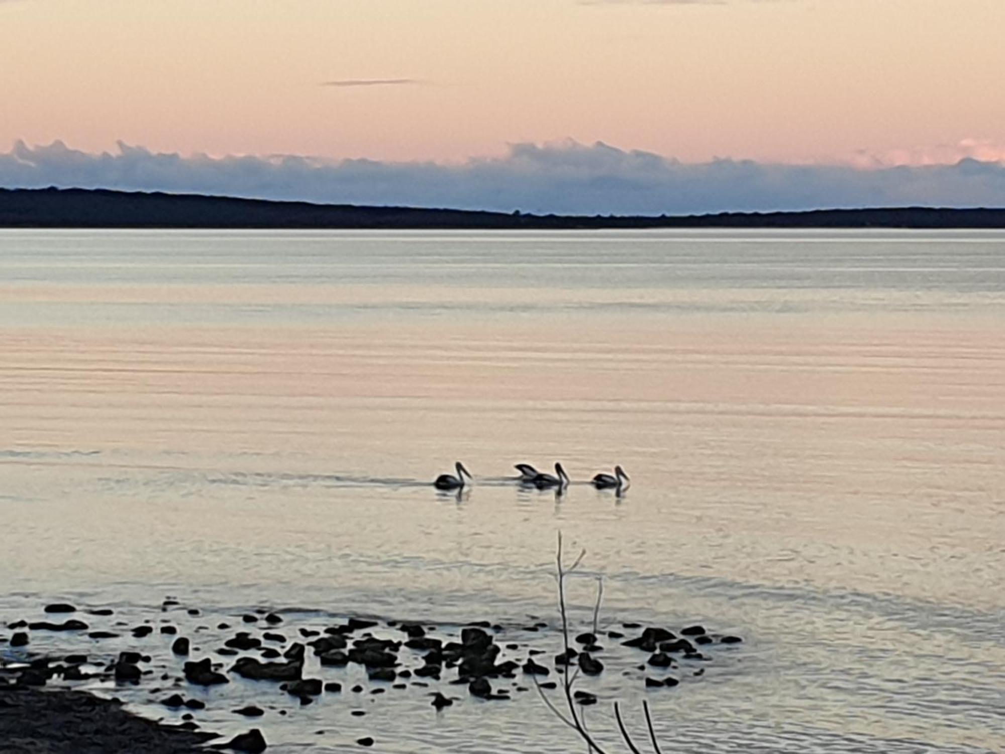 Port Lincoln Caravan Park North Shields ภายนอก รูปภาพ